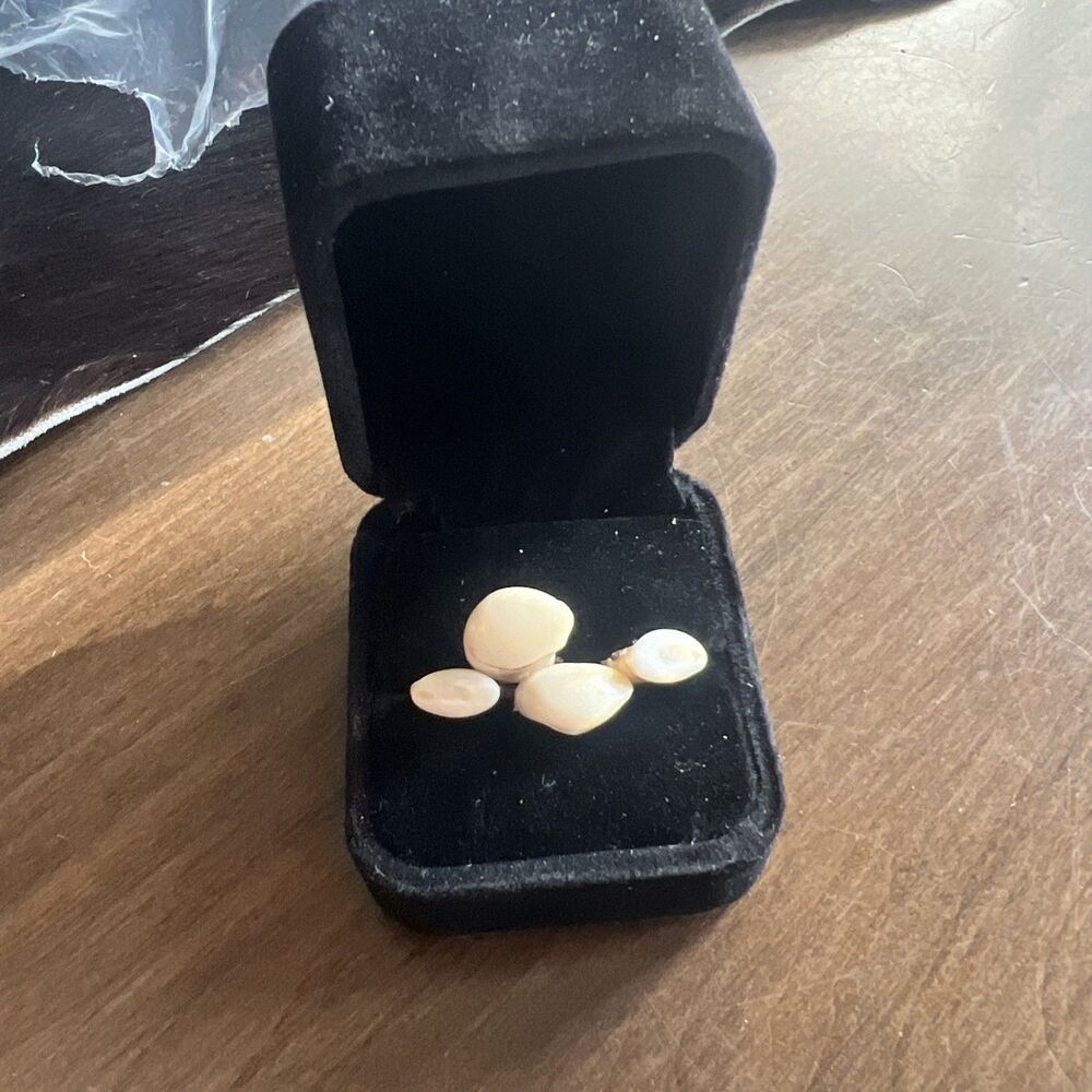 2 Small Pair Of Cow Elk Ivory Teeth.